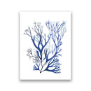 Navy Blue Coral Seaweed Wall Art | Prints for Bathroom, Living Room, Office & More
