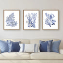 Navy Blue Coral Seaweed Wall Art | Prints for Bathroom, Living Room, Office & More