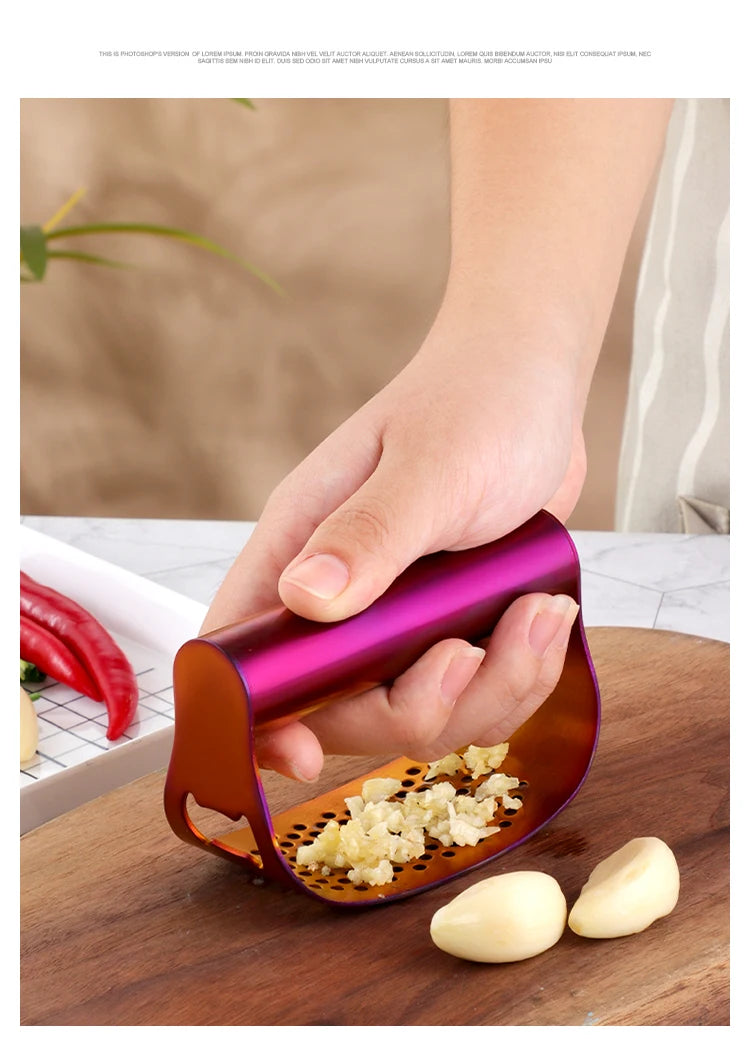 Rocker Style Stainless Steel Manual Garlic Crusher Press