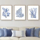 Navy Blue Coral Seaweed Wall Art | Prints for Bathroom, Living Room, Office & More