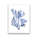 Navy Blue Coral Seaweed Wall Art | Prints for Bathroom, Living Room, Office & More