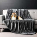 Dog sitting on a gray blanket draped over a couch against a dark gray wall.