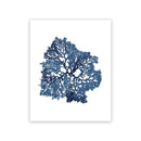 Navy Blue Coral Seaweed Wall Art | Prints for Bathroom, Living Room, Office & More