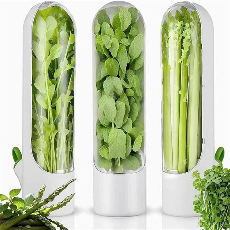 Fresh Herb Keeper