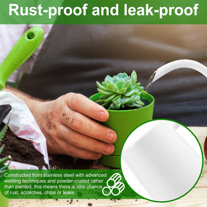 1L Watering Can with Wooden Handle – Stainless Steel Long Spout Watering Pot for Indoor Plants