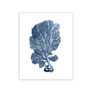 Navy Blue Coral Seaweed Wall Art | Prints for Bathroom, Living Room, Office & More