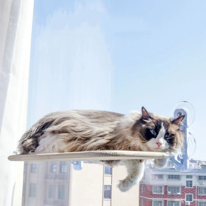 Window Hanging Nest Bed for Cat
