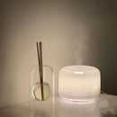 Modern Glass Diffuser Bottle with Essential Oil Sticks