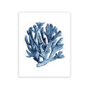 Navy Blue Coral Seaweed Wall Art | Prints for Bathroom, Living Room, Office & More