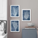 Navy Blue Coral Seaweed Wall Art Poster