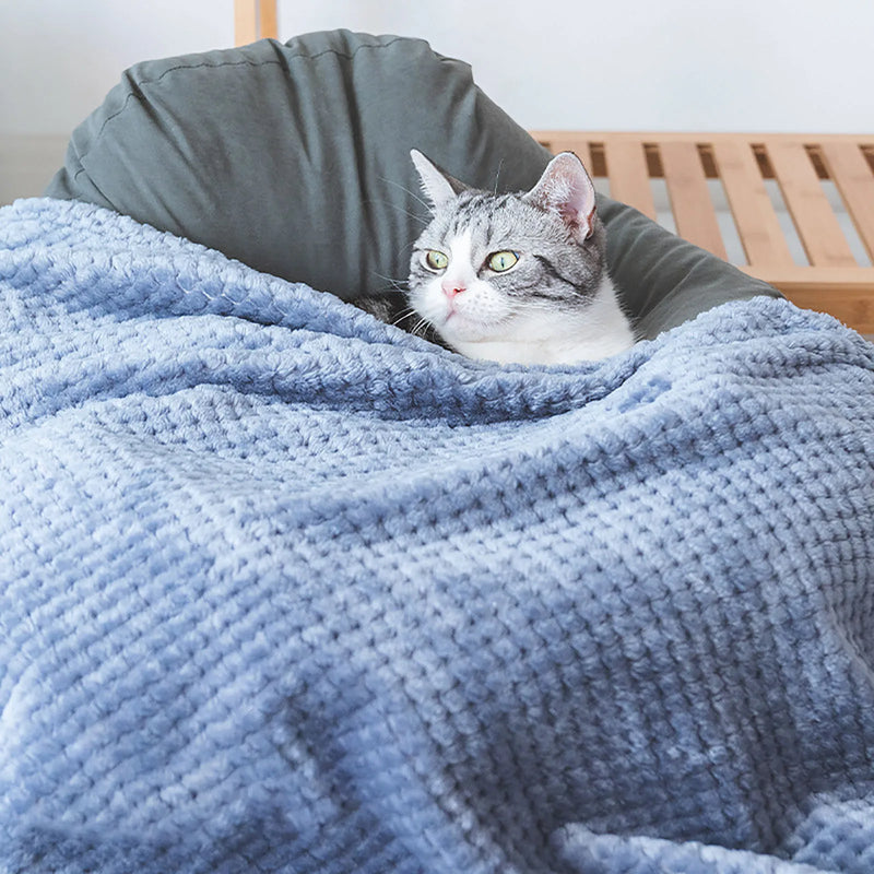 Soft Plush Pet Blanket – Cozy and Durable for Cats & Dogs