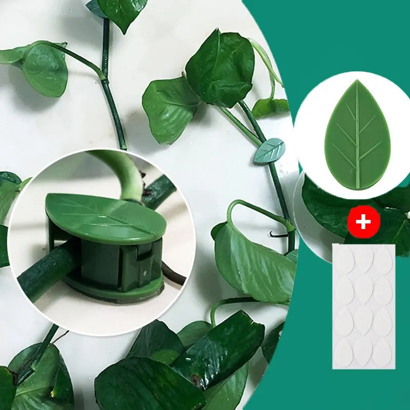 Plant Climbing Wall Fixer 10Pcs – Invisible Vine Clip Fastener for Shaping and Traction