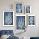 Navy Blue Coral Seaweed Wall Art Poster