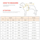 Summer Life Vest Jacket for Dogs - Reflective Pet Swimwear for Safety