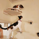 Wall-Mounted Cat Climbing Set with Sisal Scratching Posts – Four-Step Stairway for Active Cats