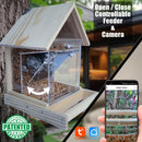A wooden bird feeder with a built-in camera and transparent front panel, mounted on a tree. The image includes a smartphone screen showing the feeder camera feed, a hand holding the phone, and text reading 'Open / Close Controllable Feeder & Camera' plus a patented badge.