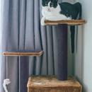 Cat Scratching Material | Self-Adhesive Carpet Scratch Board
