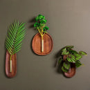 Wall-Hanging Test Tube Plant Holder | Minimalist Display for Cuttings and Dried Flowers