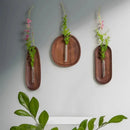 Wall-Hanging Test Tube Plant Holder | Minimalist Display for Cuttings and Dried Flowers
