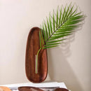 Wall-Hanging Test Tube Plant Holder | Minimalist Display for Cuttings and Dried Flowers