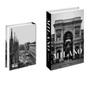 Travel Collection -  Luxury Fake Book Storage Box