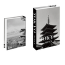 Travel Collection -  Luxury Fake Book Storage Box